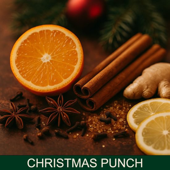 Christmas Punch vôňa do sviečok