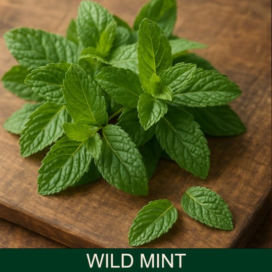 Wild Mint vôňa do sviečok